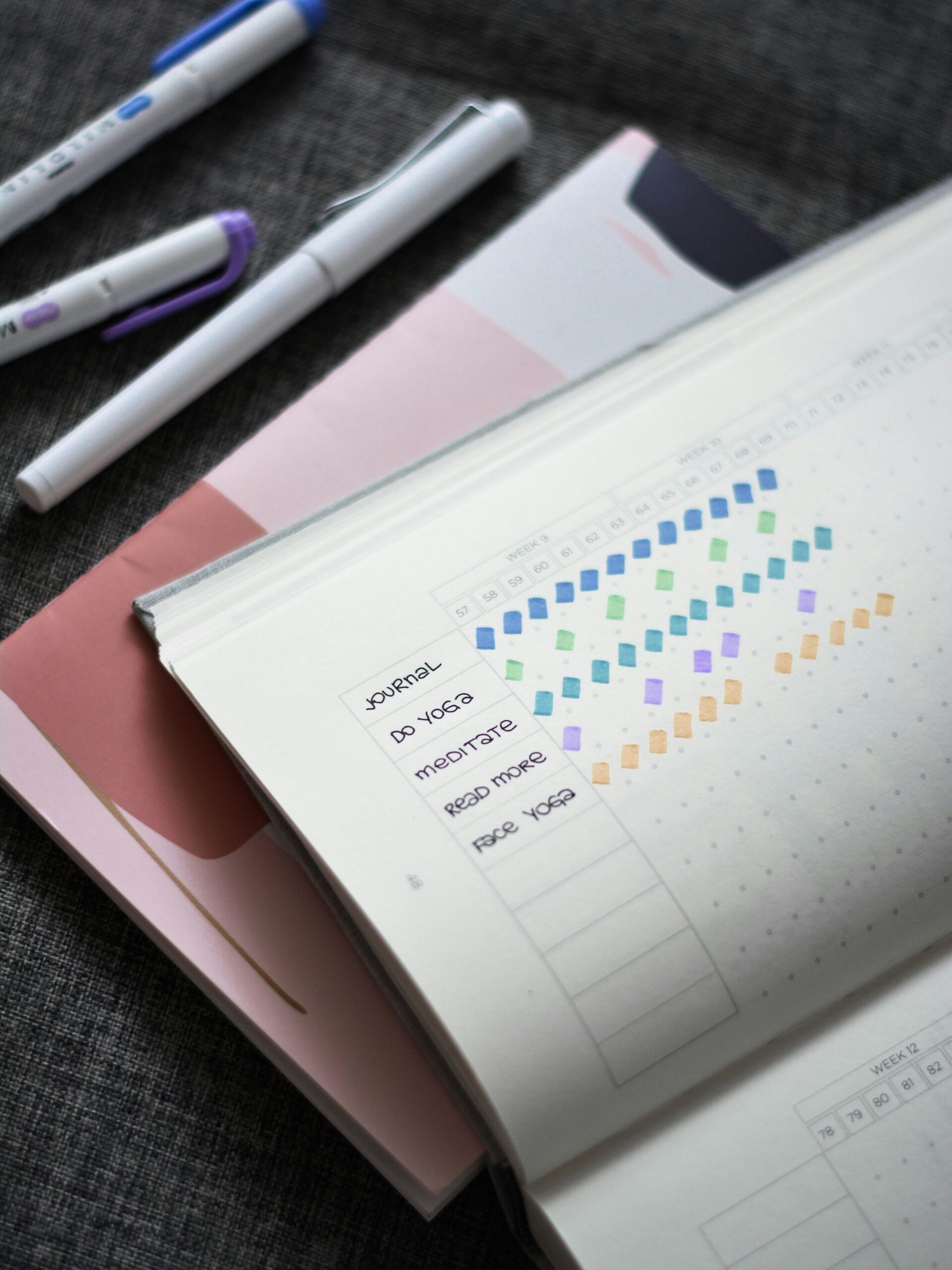 Journal with Habits